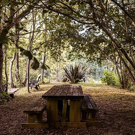 Chalet Confort, Proche Puy Dufou, Plan D'eau Prive *