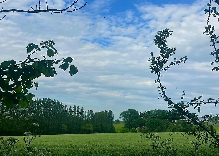 Chalet Confort, Proche Puy Dufou, Plan D'eau Prive *