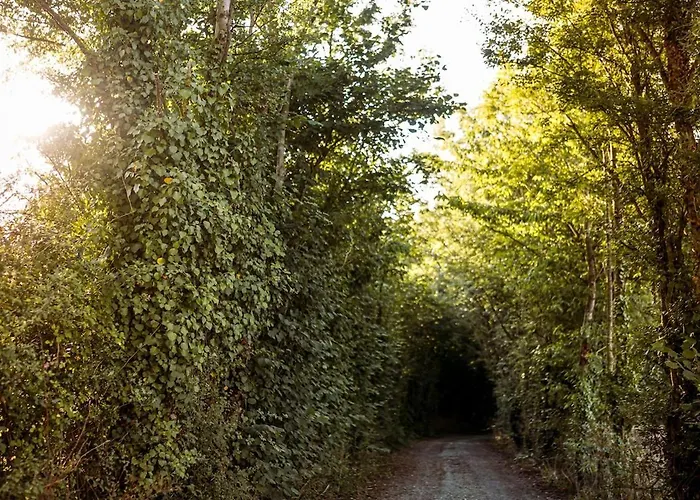 Confort, Proche Puy Dufou, Plan D'eau Prive Chalet Menomblet