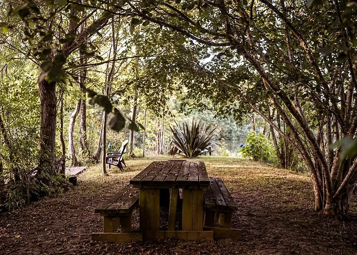 Chalet Confort, Proche Puy Dufou, Plan D'eau Prive *