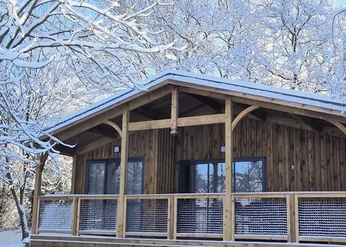 Chalet Confort, Proche Puy Dufou, Plan D'eau Prive *